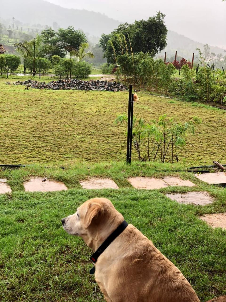Mysticstays Resort Wai Bagian luar foto