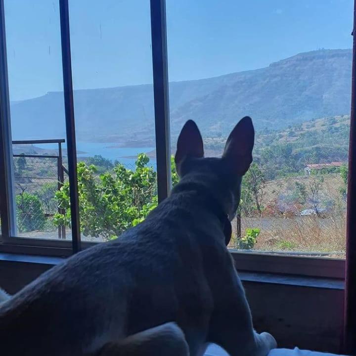 Mysticstays Resort Wai Bagian luar foto